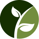 Bottlebrush Pruning Pros