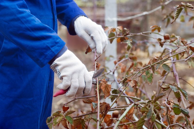 Bottlebrush Pruning