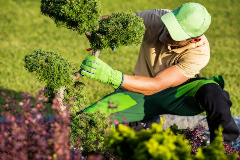 Preparing Shrubs for Spring