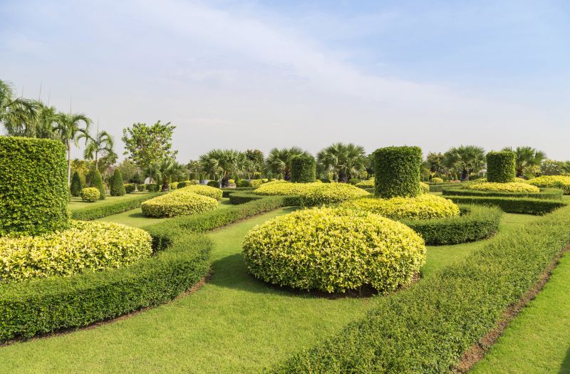 Shrubs with Balanced Shape